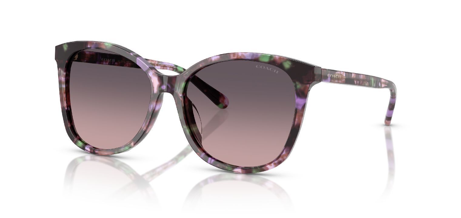Coach Rechteckig Sonnenbrillen 0HC8271U Violett für Damen