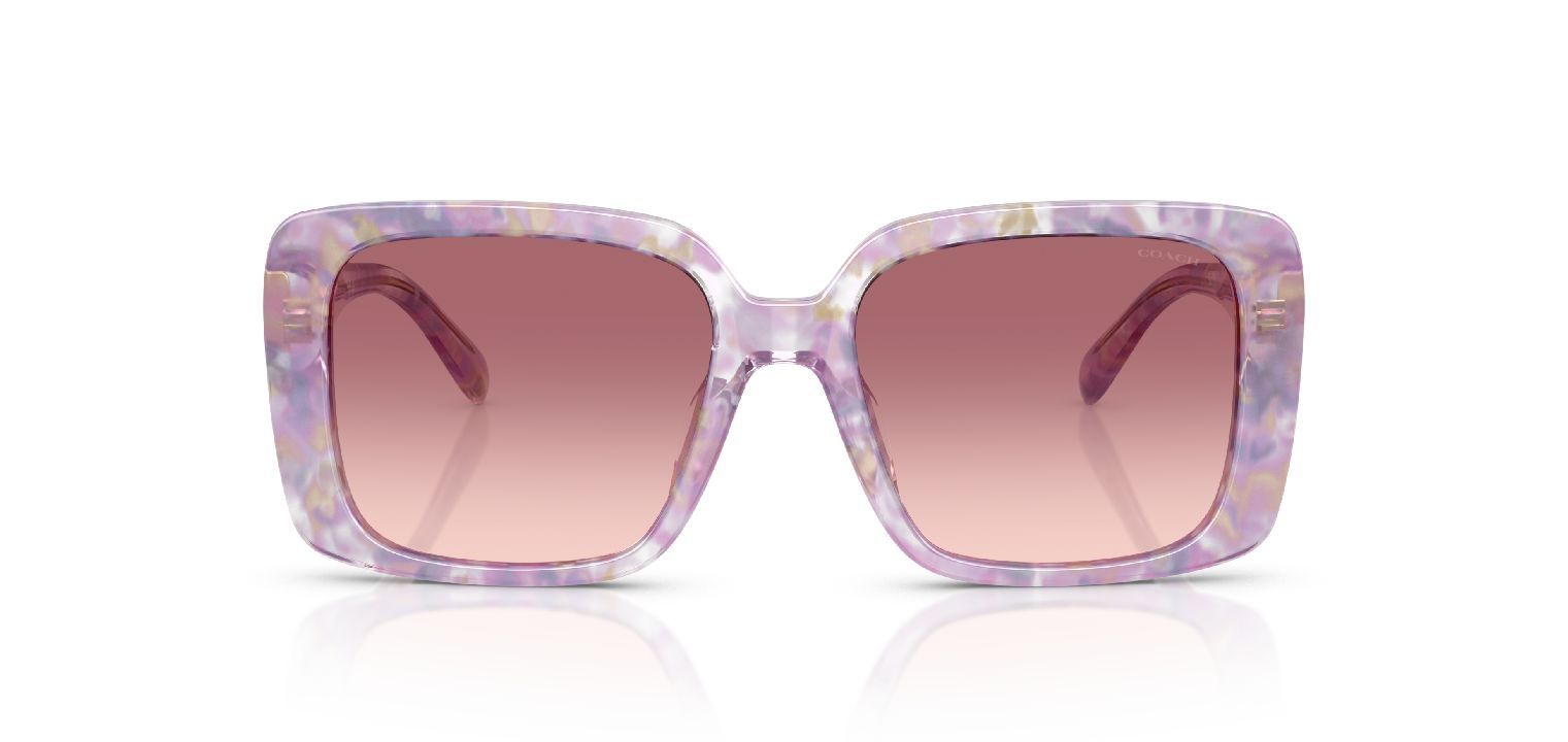 Coach Quadratisch Sonnenbrillen 0HC8424U Braun für Damen