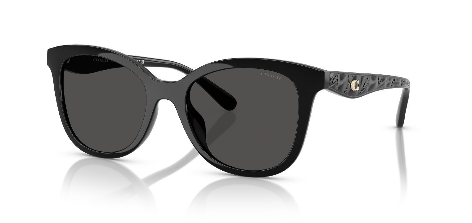 Coach Quadratisch Sonnenbrillen 0HC8419U Schwarz für Damen