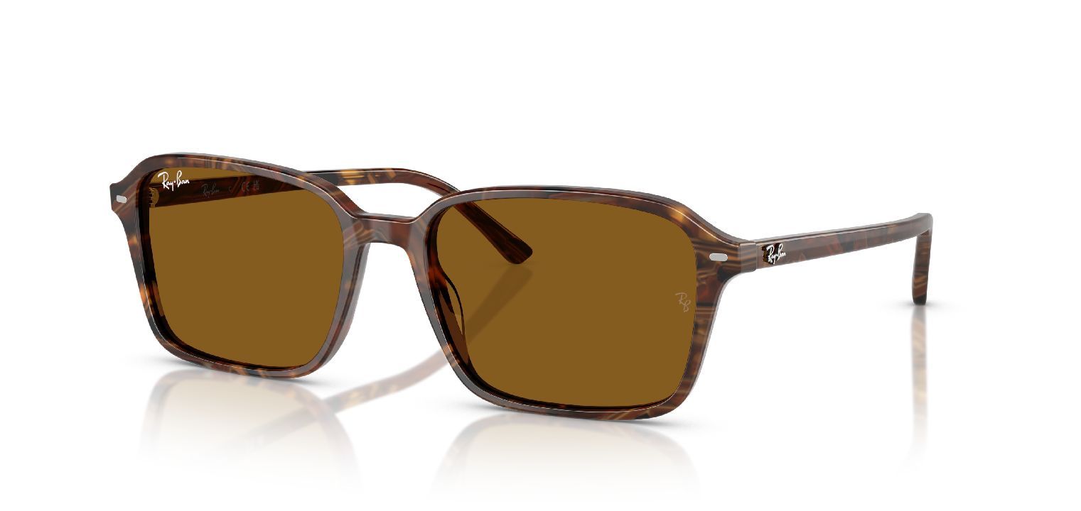 Occhiali da sole ray ban marroni store