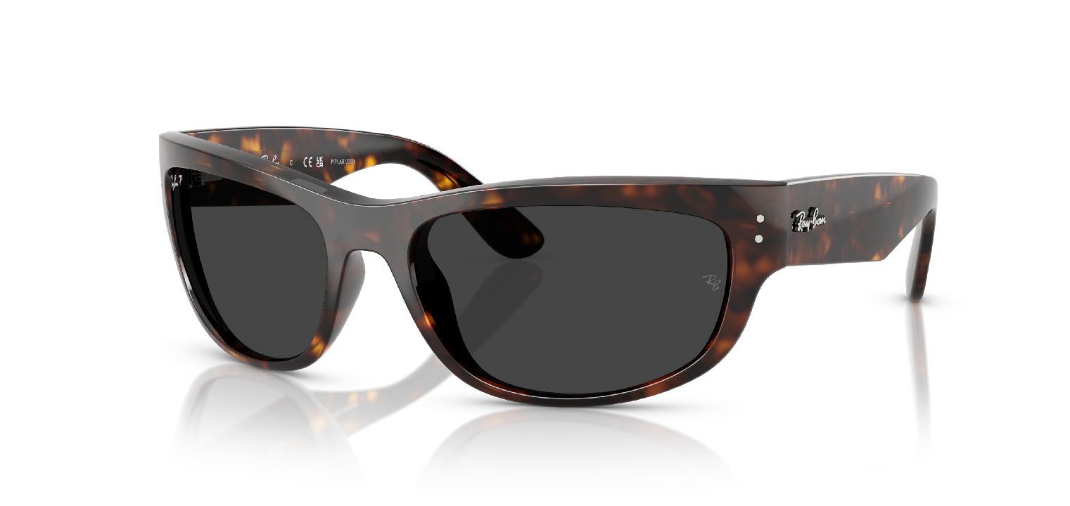 Ray ban ecaille homme sales