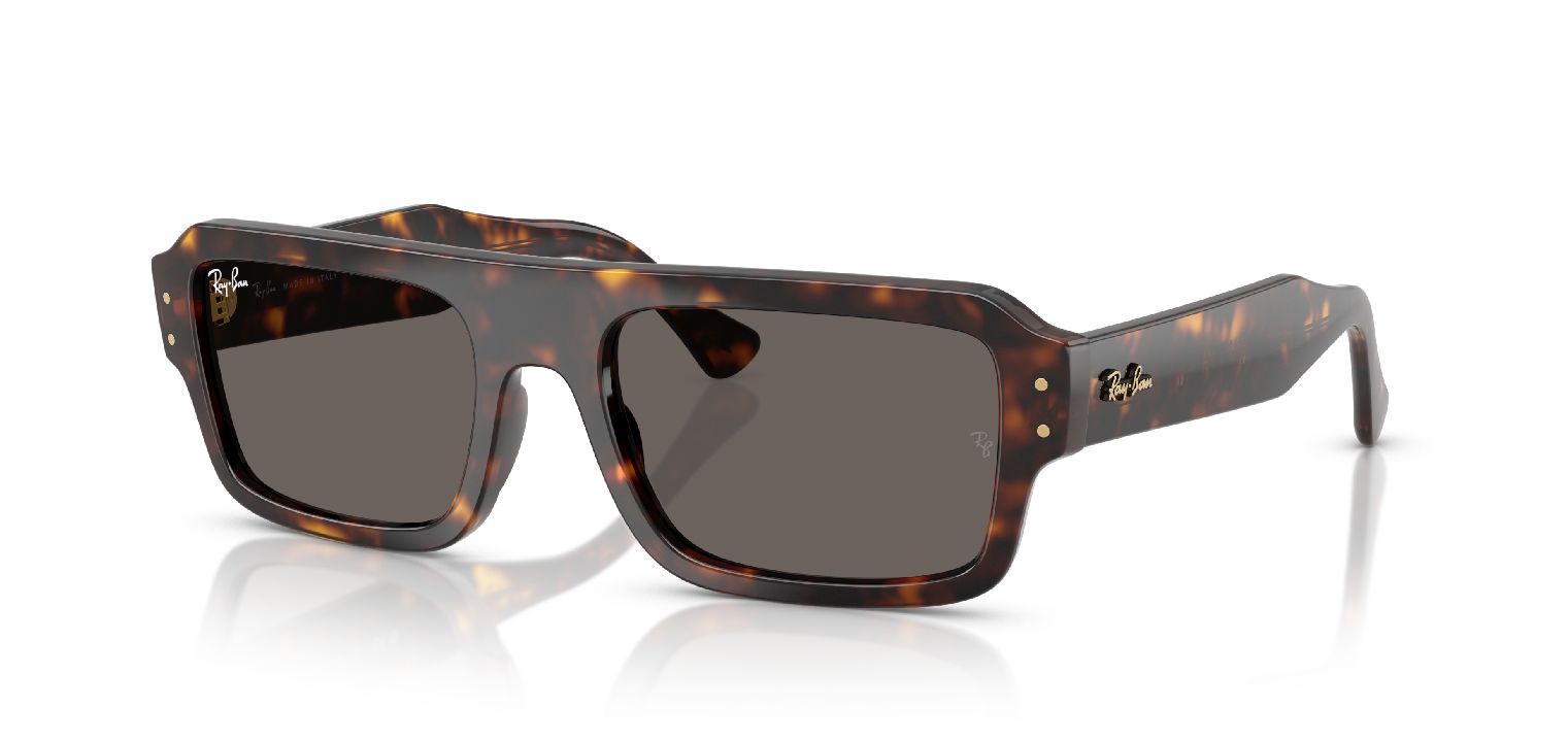Lunettes de soleil Ray-Ban Rectangle 0RB4454 Havana pour Homme-Femme
