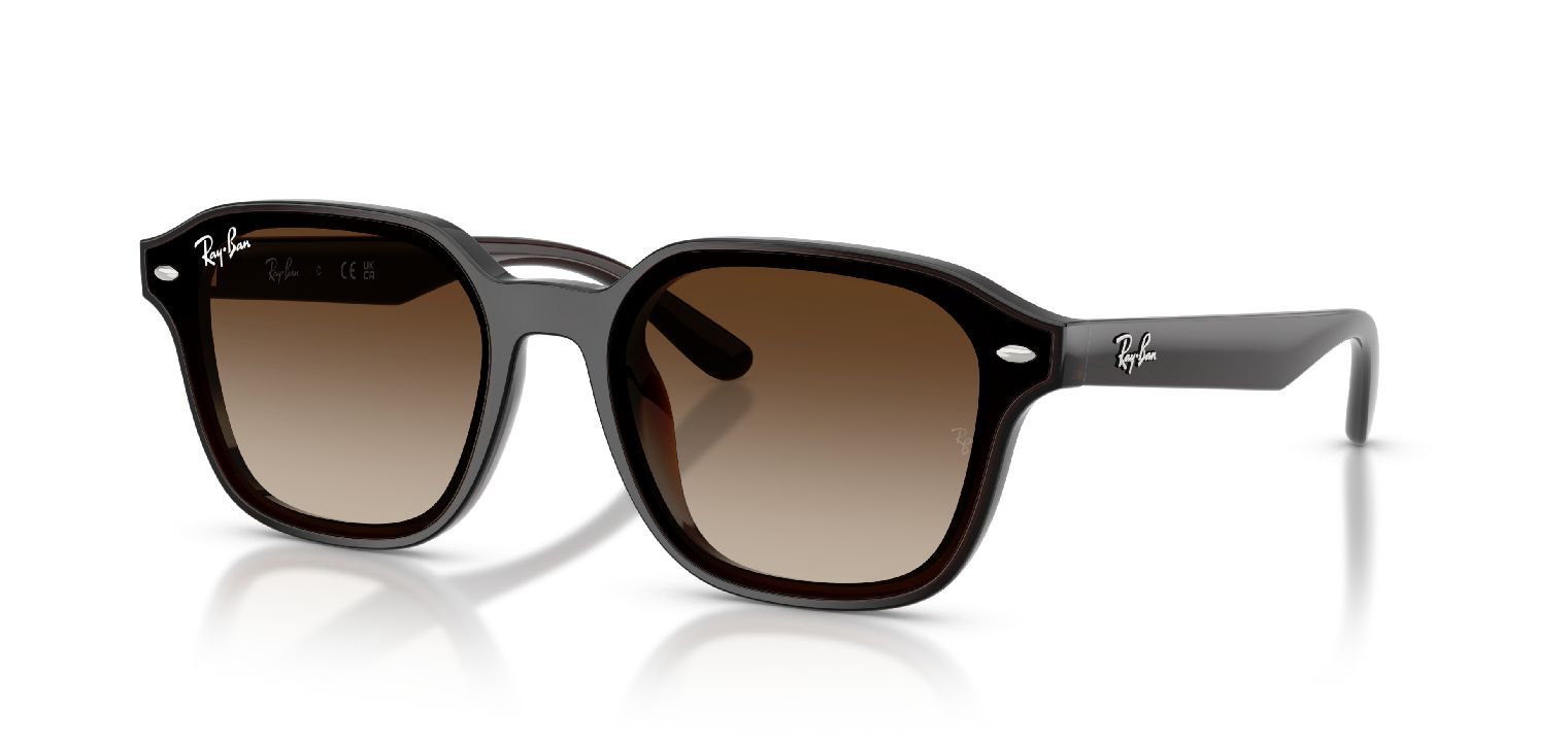 Ray-Ban Quadratisch Sonnenbrillen 0RB4458D Braun für Damen/Herren