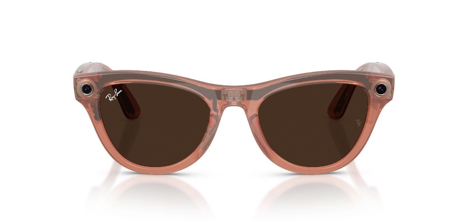 Lunettes de soleil Ray-Ban Meta Papillon 0RW4014 / SKYLER Rose pour Homme-Femme