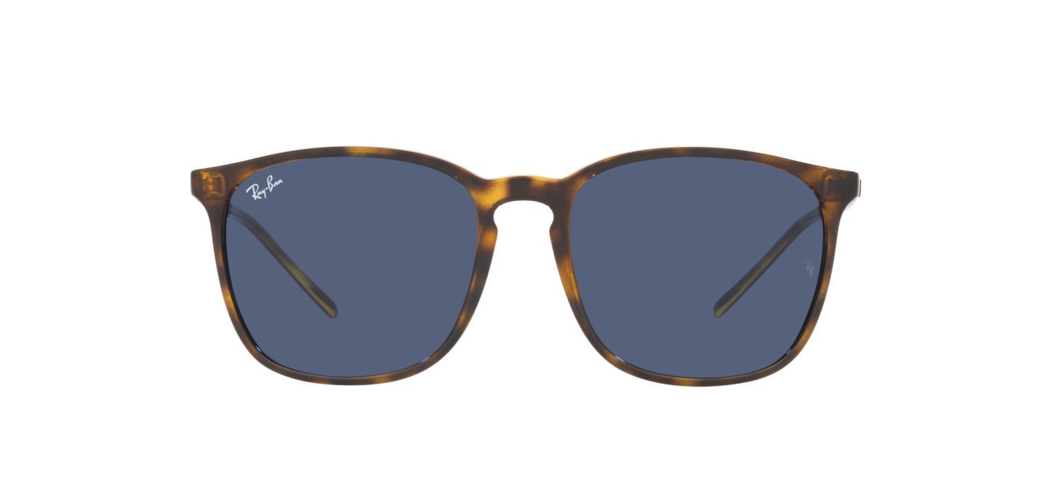 Ray-Ban Sonnenbrillen Herr-Dame 0RB4387 Wayfarer Schildpatt