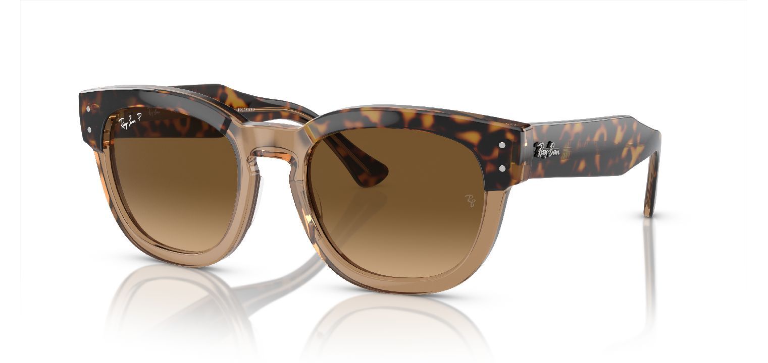 Lunette de online soleil ecaille homme