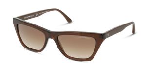 Lunettes de soleil Femme Emporio Armani 0EA4169 Papillon Marron