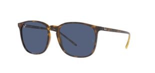 Ray-Ban Wayfarer Sonnenbrillen 0RB4387 Schildpatt für Damen/Herren