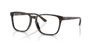 Ralph Lauren Brillen Herr 0RL6226U Rechteckig Schildpatt