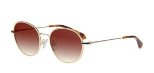 Lunettes de soleil Homme-Femme Polaroid PLD 6105/S/X Ronde Doré