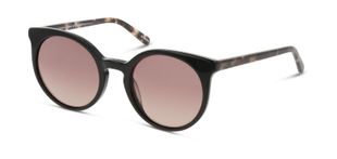 DbyD Sonnenbrillen Herr-Dame DBSF5015P Rund Schwarz