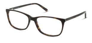 Lunettes de vue Femme DbyD DBOF5036 Rectangle Havana