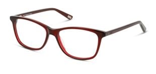 Lunettes de vue DbyD Rectangle DBOF0039 Marron pour Femme